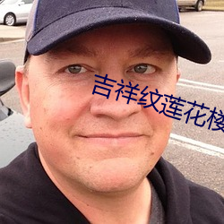 吉祥纹莲花楼txt