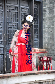 东北大炕小(xiǎo)说