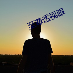 至尊(尊)透视眼