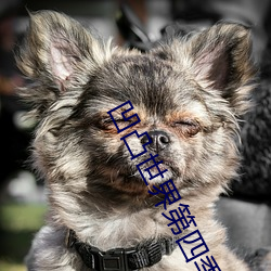 凹凸世界第四季全集免费观看 ��持衡拥璇）