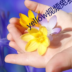 yellow視頻免費在線觀看