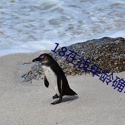 18在(在)线年龄确(確)认(認)入口