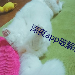深夜app破解版