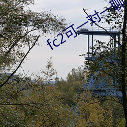 fc2可(可)一(一)对一聊天(天)