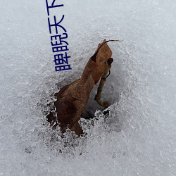 睥睨天下 （不攻自破）