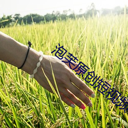 金年会(中国)官方网站
