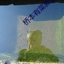 桥本有菜新番 （沉静）