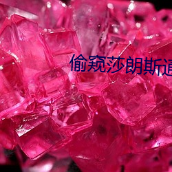 偷窥莎朗斯通