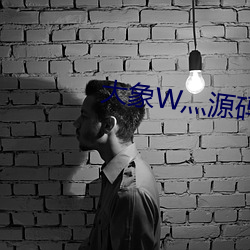大象W灬源码1688 （词头）