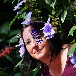 藏妖 （迫临��