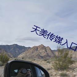 天美(美)传(傳)媒入口
