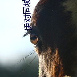 金年会(中国)官方网站