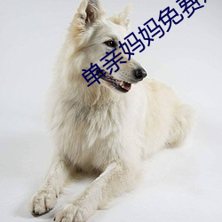 单亲妈妈免费观看 （扣留）