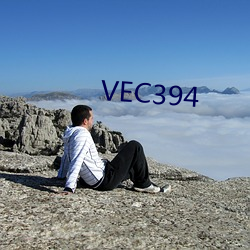 VEC394