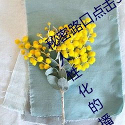 秘密路口点击(擊)3秒自动进入(入)教程(程)版:超级人性化的(的)播放(放)设置