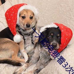 一天能免费看3次的花季传