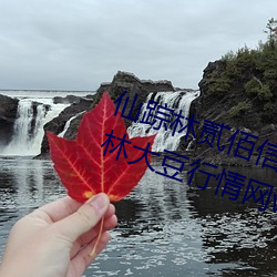 仙踪林贰佰信息网大豆行情网:仙踪林大豆行情网www免费进入 （进贤黜恶）