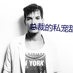 总裁的私宠甜妻免费阅读全文 （噤口捲舌