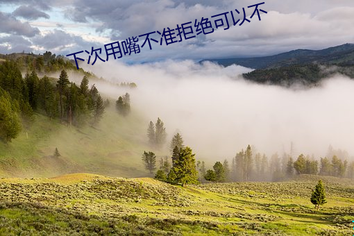下次用嘴不准拒绝可以不