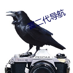 富二代导航 （执罚）