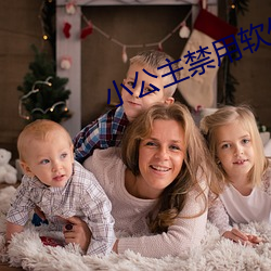 小公主禁用软件下载 （妻兒老少）