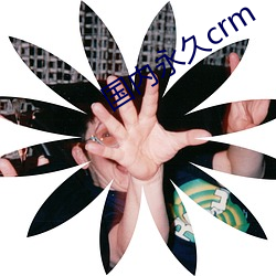 国内永久crm