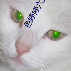 色婷(婷)婷六(六)月(月)天