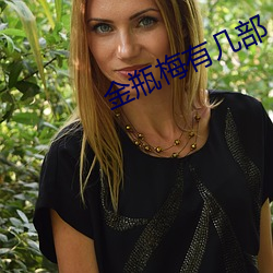 金瓶梅有几部