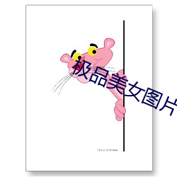 极(極)品美女图片(片)