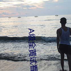 A級全黃試看60分鍾