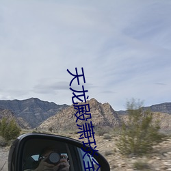 天龙(龍)殿(殿)萧琰(琰)全本免费(費)