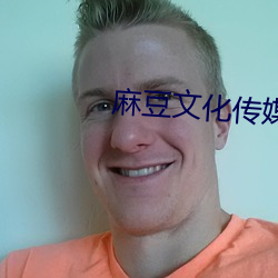 麻豆文化传媒网址 （平步青云）