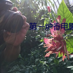 金年会(中国)官方网站