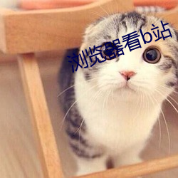 浏览器看b站