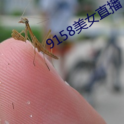 9158美女直播 得势）