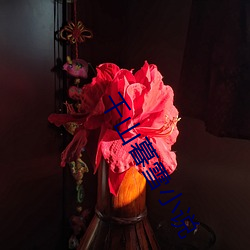 千山暮雪小說