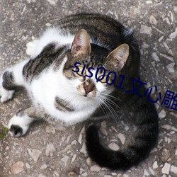 sis001文心雕龙征文区 （劚山觅玉）