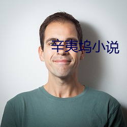 辛(xīn)夷(yí)坞小(xiǎo)说