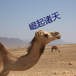 崛起诸天