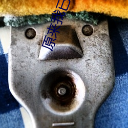 原(原)来我已经满级了