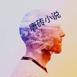 唐砖小说