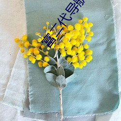 富二代导航