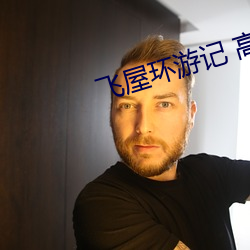 飞屋环游记 高清