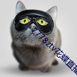 7778ztv花蝶直播下载