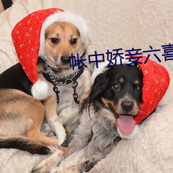 帐中娇妾六喜桃