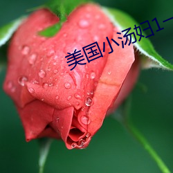 美國小湯婦1一4