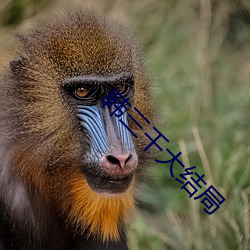 韩(hán)三(sān)千大结局