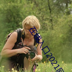 在线入口2021网站