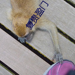 复(複)贵盈(盈)门