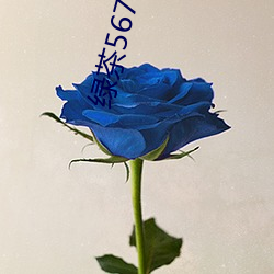 绿茶567app下载安装